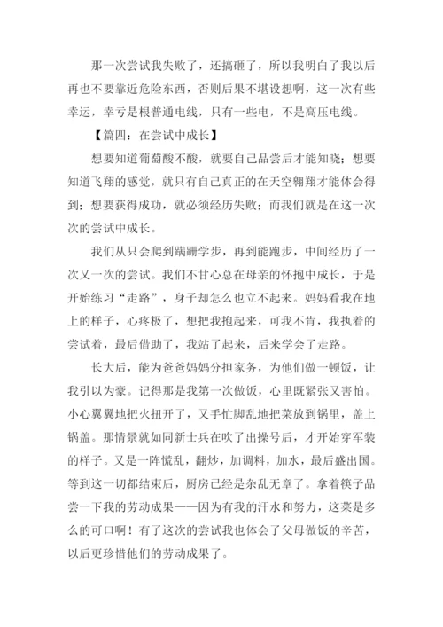 在尝试中成长作文450字.docx