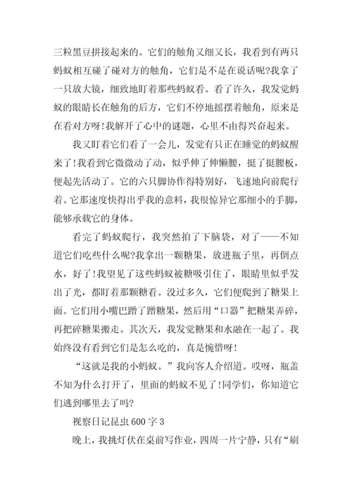 2024年观察日记昆虫600字范文