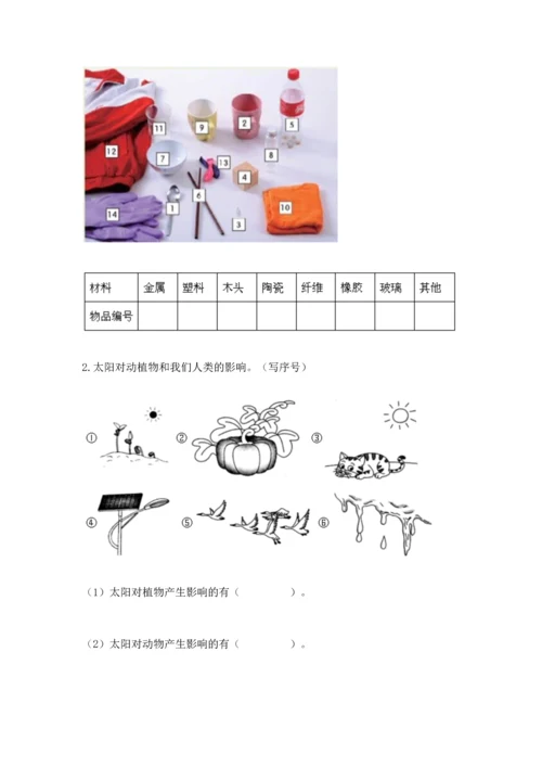 教科版科学二年级上册《期末测试卷》【历年真题】.docx