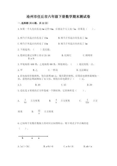 沧州市任丘市六年级下册数学期末测试卷必考题.docx