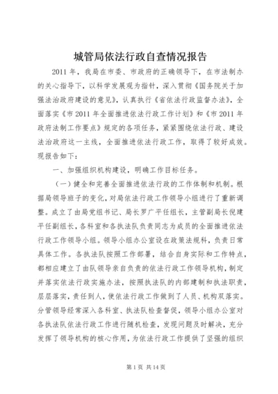 城管局依法行政自查情况报告.docx