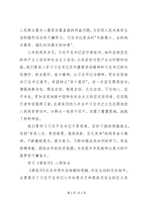 学习纪实文学《梁家河》心得体会 (5).docx