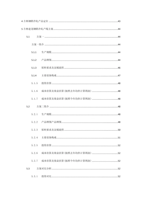 公司冷轧项目调研报告.docx