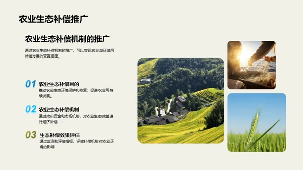 农业与环境可持续发展