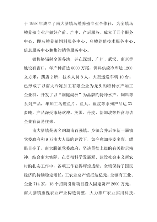 年大学生三下乡社会实践调查报告.docx