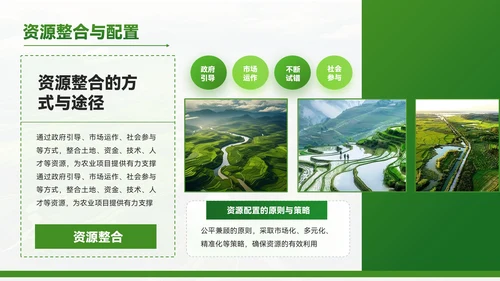 绿色质感风农业项目赋能乡村振兴PPT模板