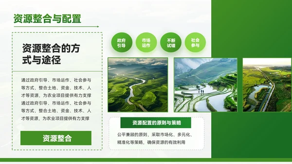 绿色质感风农业项目赋能乡村振兴PPT模板