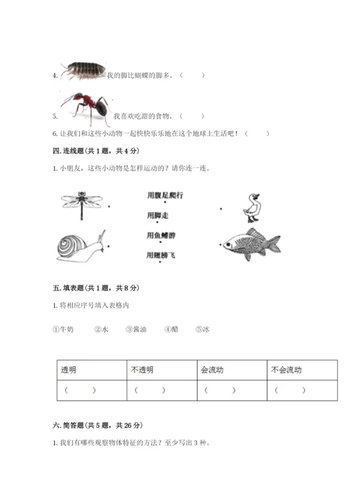 教科版一年级下册科学期末测试卷精品（b卷）.docx