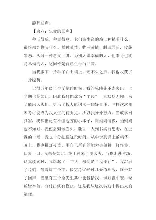 回声作文00.docx