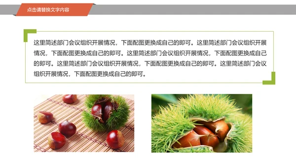 美食坚果板栗宣传动态PPT模板