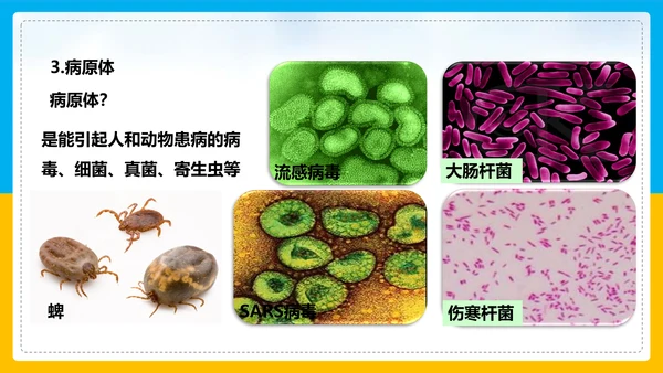 初中生物预防传染病教学PPT课件