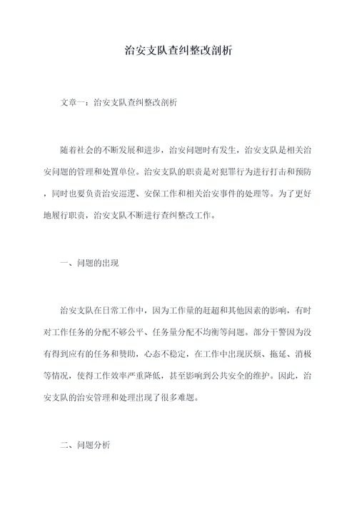 治安支队查纠整改剖析
