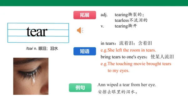 Unit 3 Family ties 单词讲解课件第一课时(含内嵌音频)【新外研（2024）版七上英