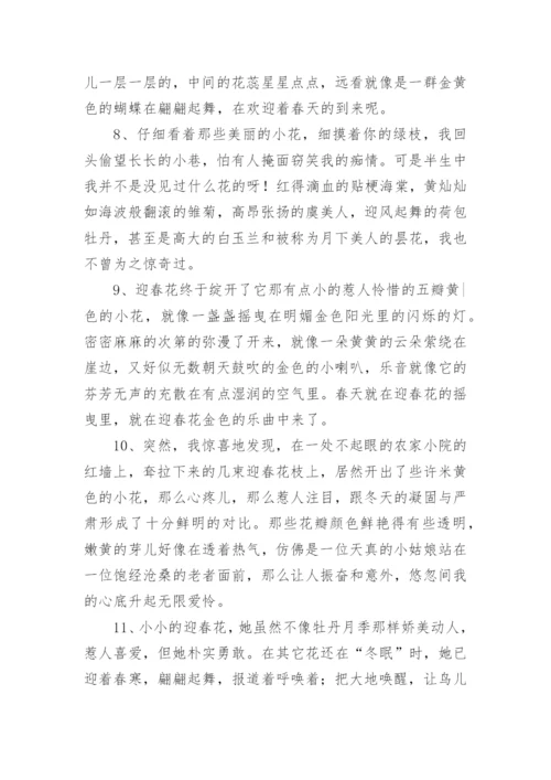 描写迎春花好句好段.docx