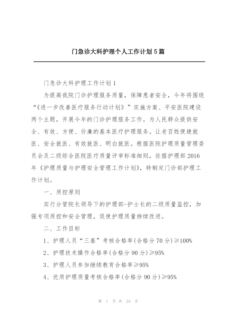 门急诊大科护理个人工作计划5篇.docx