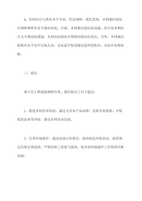 乡村珍惜调研报告