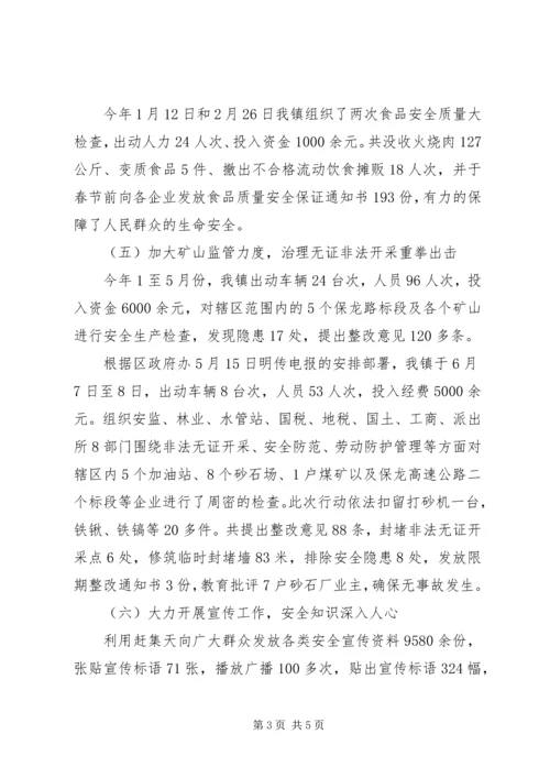 乡镇安监站某年半年工作总结.docx