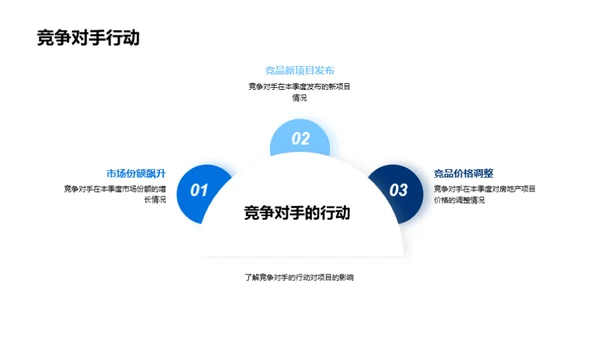 项目进程分析与未来规划