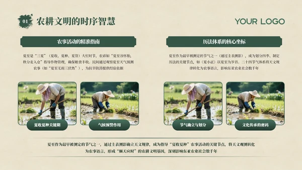 绿色夏至节气介绍通用PPT模板