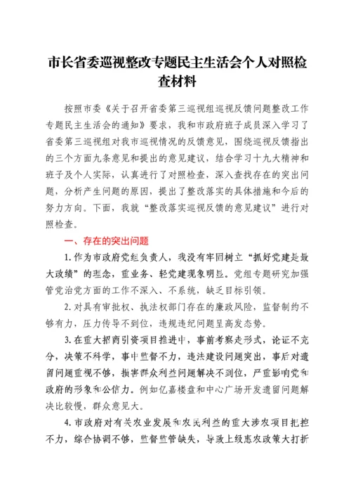 市长省委巡视整改专题民主生活会个人对照检查材料.docx