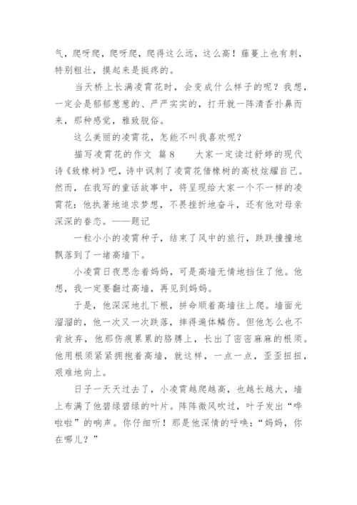 描写凌霄花的作文.docx