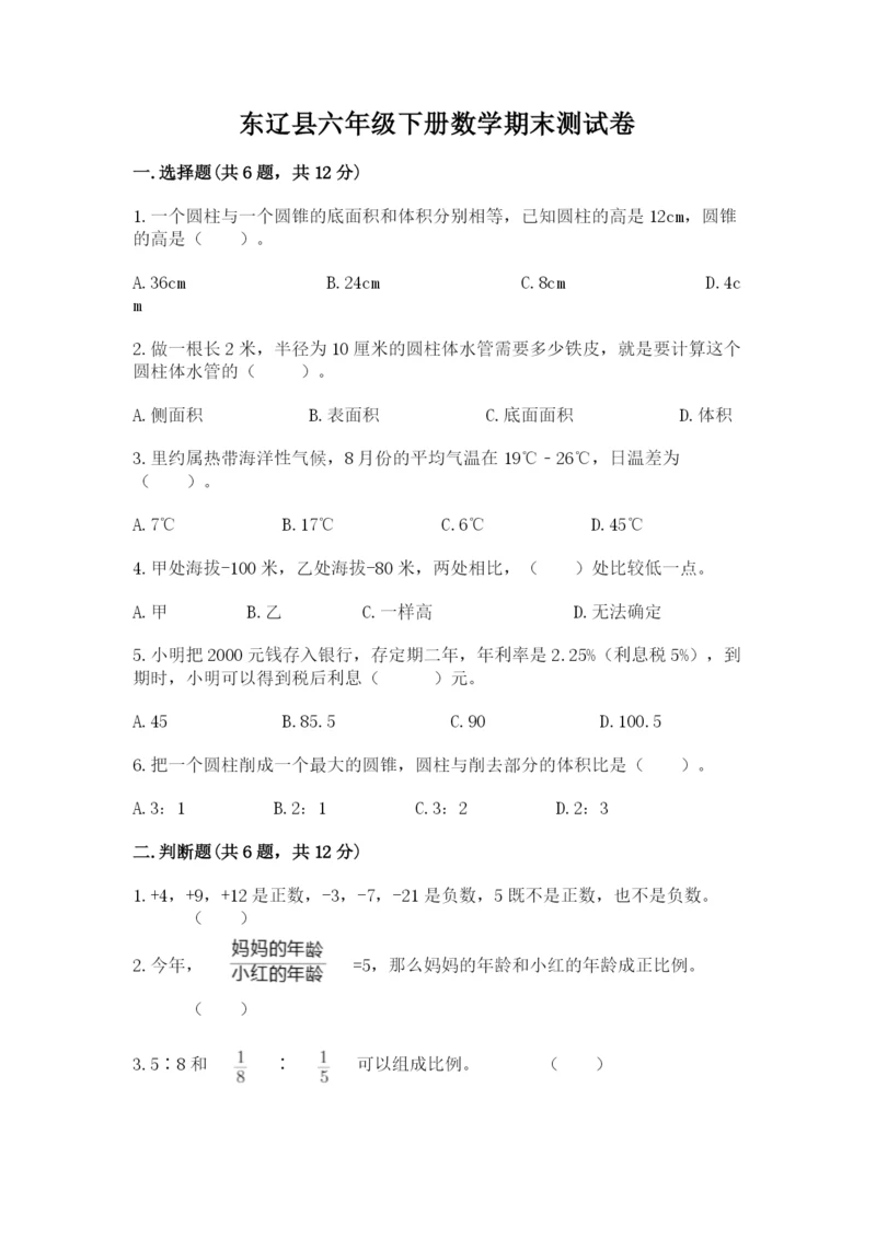 东辽县六年级下册数学期末测试卷（各地真题）.docx