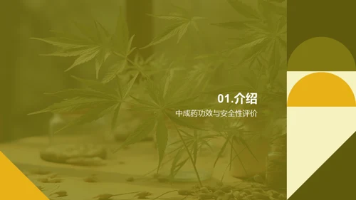 揭秘中成药：功效与风险