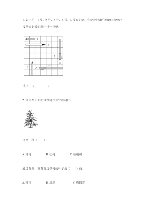 教科版一年级上册科学期末测试卷精品【含答案】.docx