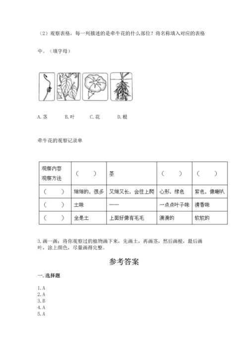 教科版科学一年级上册第一单元《植物》测试卷及完整答案1套.docx