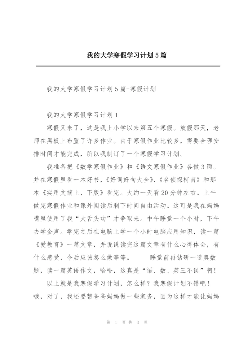 我的大学寒假学习计划5篇.docx
