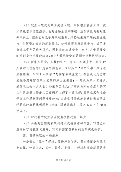 外出务工返乡青年情况调研报告 (2).docx