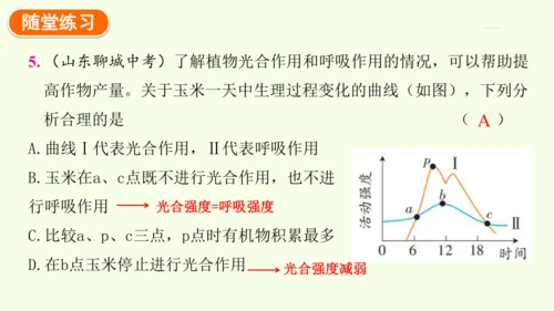 3.2.3呼吸作用-七年级生物下学期同步精品课件（2024人教版）(共24张PPT)