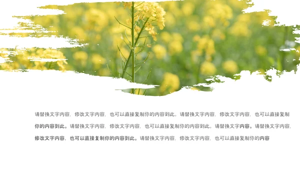 春天乡村旅游油菜花风景油菜花田PPT模板
