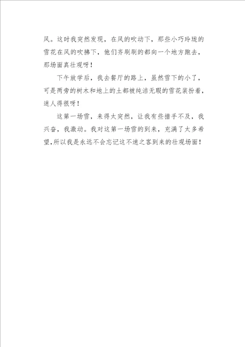 六年级作文写景20XX年的第一场雪550字