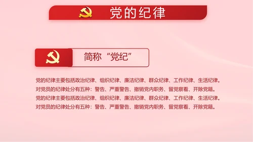 十九届五中全会公报学习十四五规划动态PPT