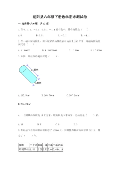 朝阳县六年级下册数学期末测试卷完整版.docx