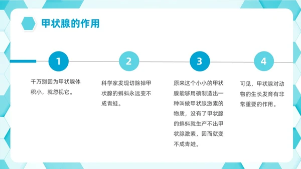 蓝色简约插画碘教育PPT课件碘缺乏教育