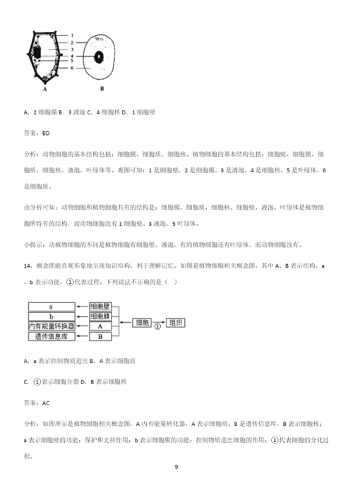 人教版初中生物七年级上册第二单元生物体的结构层次考点大全笔记.docx