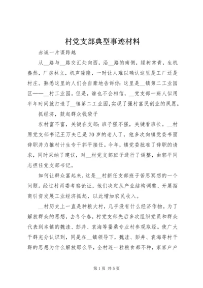 村党支部典型事迹材料.docx