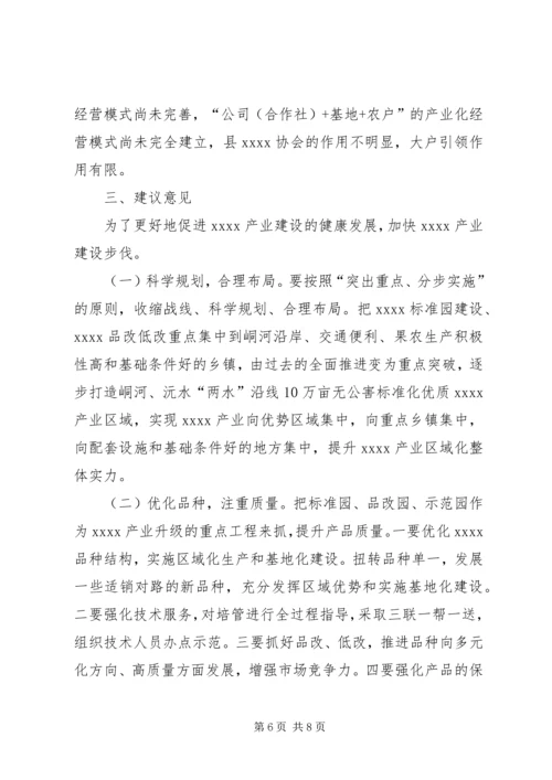 产业建设调研报告精编.docx