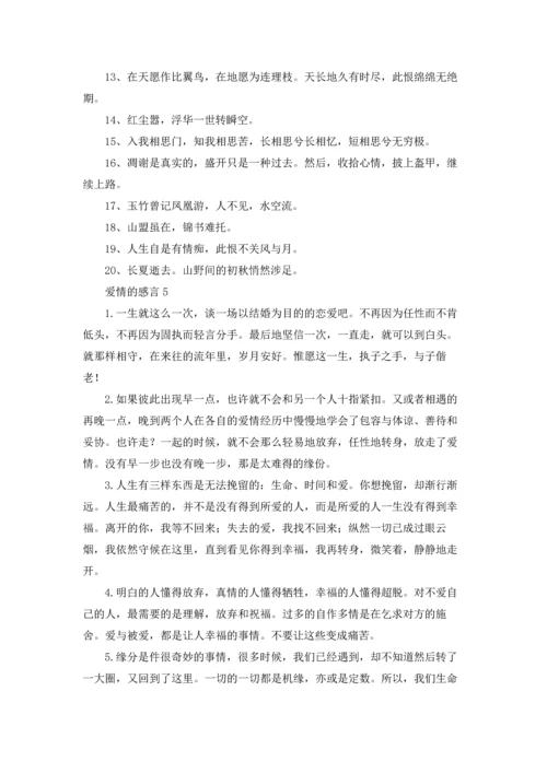 爱情的感言15篇.docx