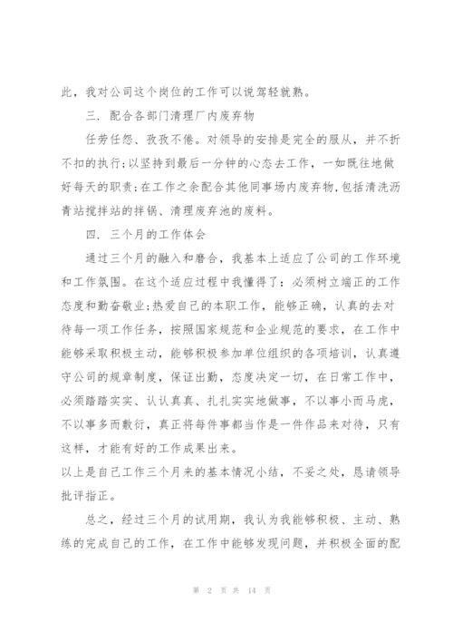 转正申请的个人述职报告.docx