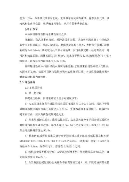 溶洞处理专业方案.docx