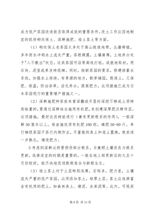 茶园改造实施方案 (3).docx