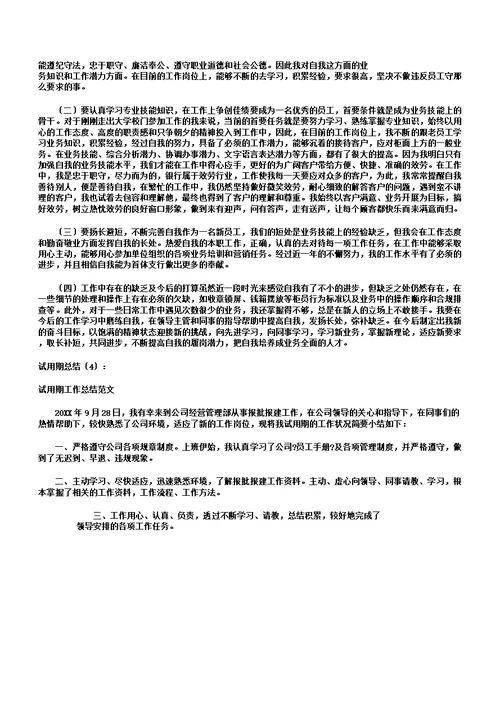 试用期总结计划10篇