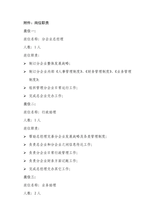 分公司筹建专项方案.docx