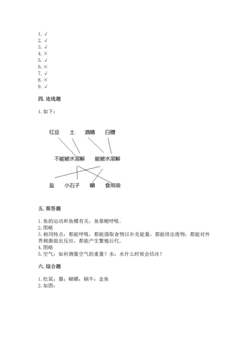 教科版一年级下册科学期末测试卷附答案【精练】.docx