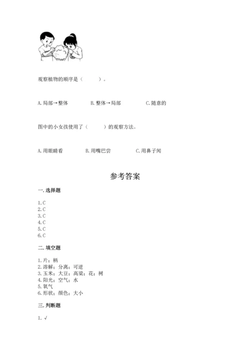 教科版科学一年级上册第一单元《植物》测试卷及完整答案【考点梳理】.docx