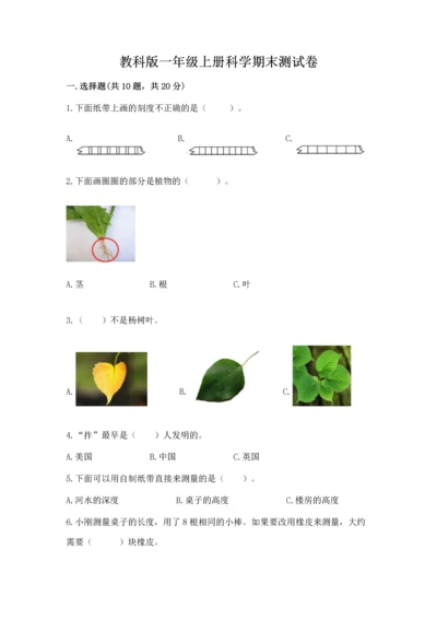 教科版一年级上册科学期末测试卷精品（模拟题）.docx