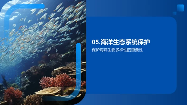 海洋生态系统的保护与可持续发展